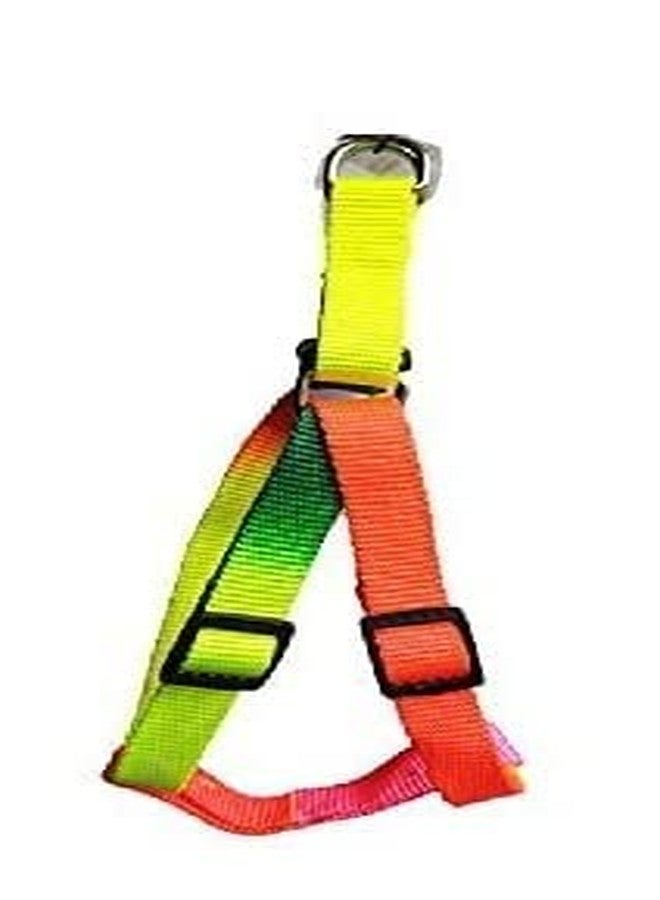 Smart Pups Colourful Adjustable Nylon Puppy Leash Harness and Collar Combo, Suitable for Puppy 15 mm Multicolor (Collar + Harness + Leash) - Image 4